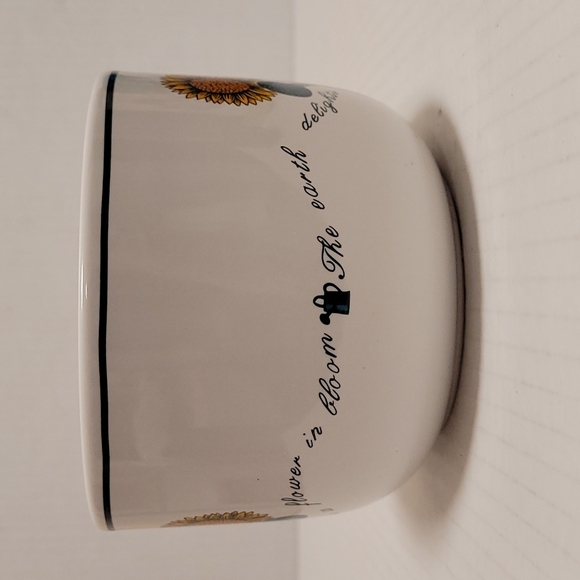 Set of 4 Flowers in Bloom Mugs / Soup Bowls - Picture 7 of 16